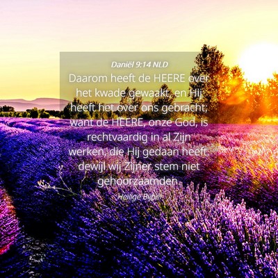 Picture 04 - Daniël 9:14 NLD - Daarom heeft de HEERE over het kwade gewaakt, en - Bible Verse Picture