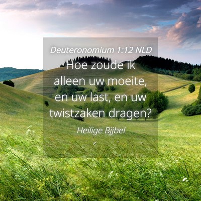 Picture 04 - Deuteronomium 1:12 NLD - Hoe zoude ik alleen uw moeite, en uw last, en uw - Bible Verse Picture