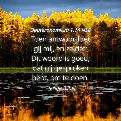 Picture 04 - Deuteronomium 1:14 NLD - Toen antwoorddet gij mij, en zeidet: Dit woord is - Bible Verse Picture