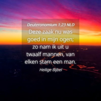 Picture 04 - Deuteronomium 1:23 NLD - Deze zaak nu was goed in mijn ogen; zo nam ik uit - Bible Verse Picture