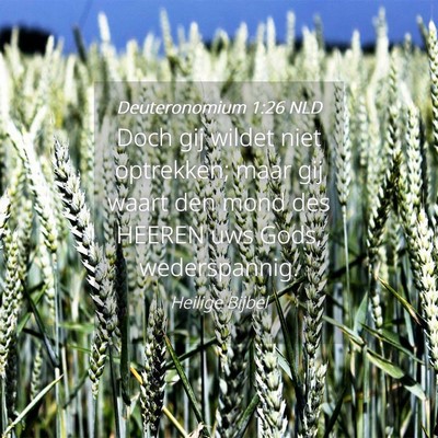 Picture 04 - Deuteronomium 1:26 NLD - Doch gij wildet niet optrekken; maar gij waart - Bible Verse Picture