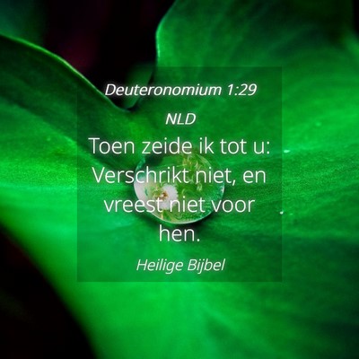 Picture 04 - Deuteronomium 1:29 NLD - Toen zeide ik tot u: Verschrikt niet, en vreest - Bible Verse Picture