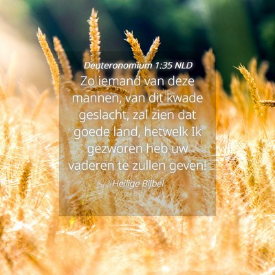 Picture 04 - Deuteronomium 1:35 NLD - Zo iemand van deze mannen, van dit kwade - Bible Verse Picture