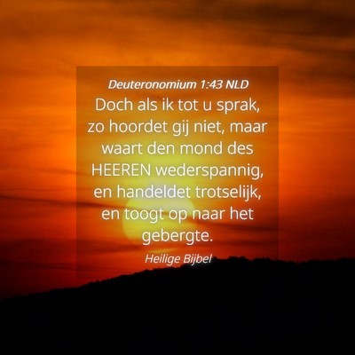 Picture 04 - Deuteronomium 1:43 NLD - Doch als ik tot u sprak, zo hoordet gij niet, - Bible Verse Picture