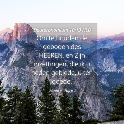Picture 04 - Deuteronomium 10:13 NLD - Om te houden de geboden des HEEREN, en Zijn - Bible Verse Picture