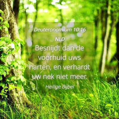 Picture 04 - Deuteronomium 10:16 NLD - Besnijdt dan de voorhuid uws harten, en verhardt - Bible Verse Picture