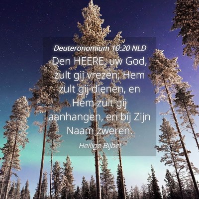 Picture 04 - Deuteronomium 10:20 NLD - Den HEERE, uw God, zult gij vrezen; Hem zult gij - Bible Verse Picture