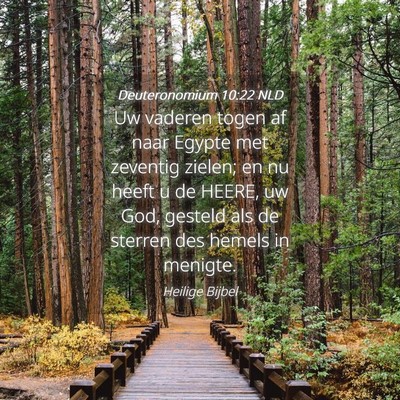 Picture 04 - Deuteronomium 10:22 NLD - Uw vaderen togen af naar Egypte met zeventig - Bible Verse Picture
