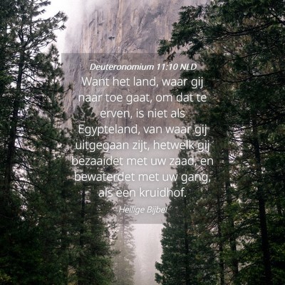 Picture 04 - Deuteronomium 11:10 NLD - Want het land, waar gij naar toe gaat, om dat te - Bible Verse Picture