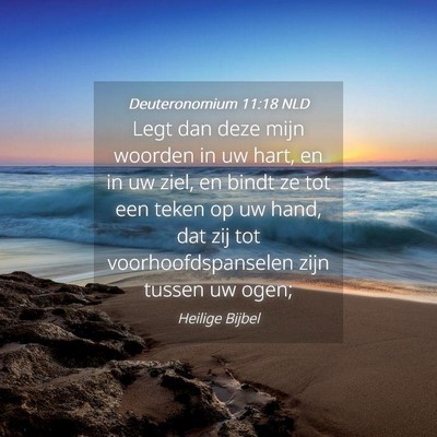 Picture 04 - Deuteronomium 11:18 NLD - Legt dan deze mijn woorden in uw hart, en in uw - Bible Verse Picture