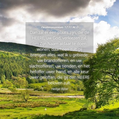 Picture 04 - Deuteronomium 12:11 NLD - Dan zal er een plaats zijn, die de HEERE, uw God, - Bible Verse Picture