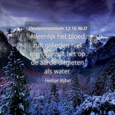 Picture 04 - Deuteronomium 12:16 NLD - Alleenlijk het bloed zult gijlieden niet eten; - Bible Verse Picture