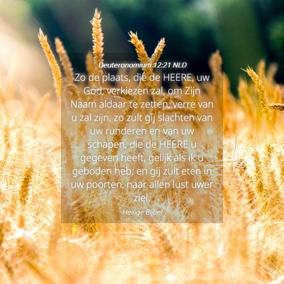 Picture 04 - Deuteronomium 12:21 NLD - Zo de plaats, die de HEERE, uw God, verkiezen - Bible Verse Picture