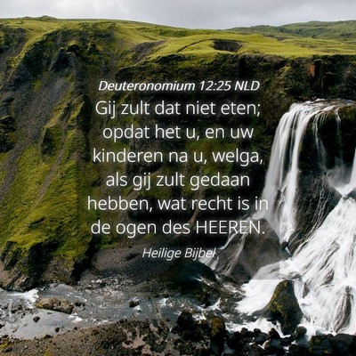 Picture 04 - Deuteronomium 12:25 NLD - Gij zult dat niet eten; opdat het u, en uw - Bible Verse Picture