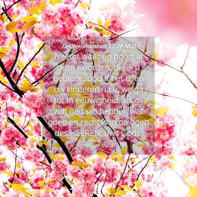 Picture 04 - Deuteronomium 12:28 NLD - Neemt waar, en hoort al deze woorden, die ik u - Bible Verse Picture