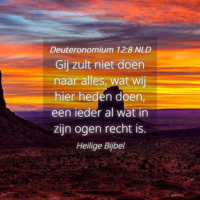 Picture 04 - Deuteronomium 12:8 NLD - Gij zult niet doen naar alles, wat wij hier heden - Bible Verse Picture
