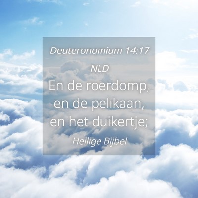 Picture 04 - Deuteronomium 14:17 NLD - En de roerdomp, en de pelikaan, en het - Bible Verse Picture