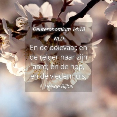 Picture 04 - Deuteronomium 14:18 NLD - En de ooievaar, en de reiger naar zijn aard; en - Bible Verse Picture