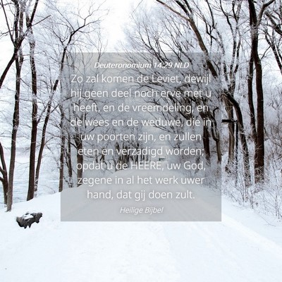 Picture 04 - Deuteronomium 14:29 NLD - Zo zal komen de Leviet, dewijl hij geen deel noch - Bible Verse Picture