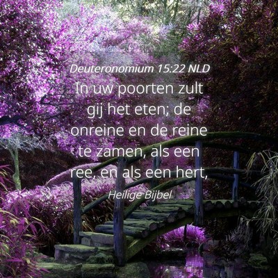 Picture 04 - Deuteronomium 15:22 NLD - In uw poorten zult gij het eten; de onreine en de - Bible Verse Picture