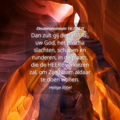 Picture 04 - Deuteronomium 16:2 NLD - Dan zult gij den HEERE, uw God, het pascha - Bible Verse Picture
