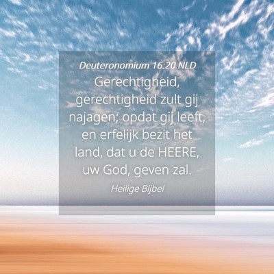Picture 04 - Deuteronomium 16:20 NLD - Gerechtigheid, gerechtigheid zult gij najagen; - Bible Verse Picture