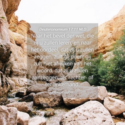 Picture 04 - Deuteronomium 17:11 NLD - Naar het bevel der wet, die zij u zullen leren, - Bible Verse Picture