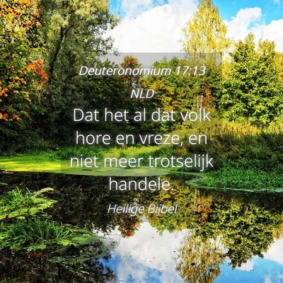 Picture 04 - Deuteronomium 17:13 NLD - Dat het al dat volk hore en vreze, en niet meer - Bible Verse Picture