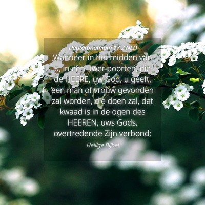 Picture 04 - Deuteronomium 17:2 NLD - Wanneer in het midden van u, in een uwer poorten, - Bible Verse Picture