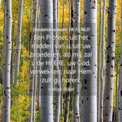 Picture 04 - Deuteronomium 18:15 NLD - Een Profeet, uit het midden van u, uit uw - Bible Verse Picture