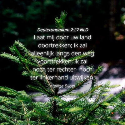 Picture 04 - Deuteronomium 2:27 NLD - Laat mij door uw land doortrekken; ik zal - Bible Verse Picture