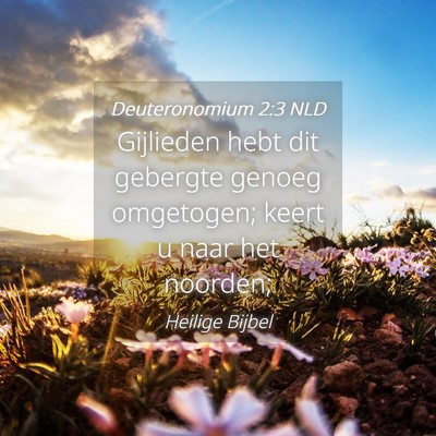 Picture 04 - Deuteronomium 2:3 NLD - Gijlieden hebt dit gebergte genoeg omgetogen; - Bible Verse Picture