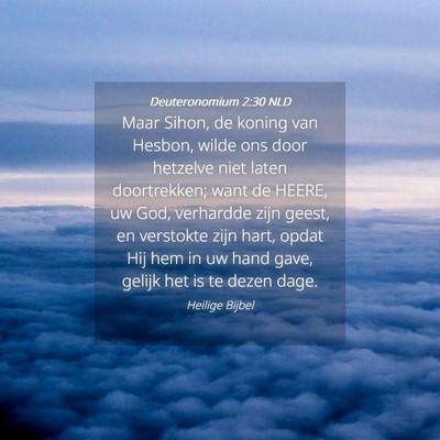 Picture 04 - Deuteronomium 2:30 NLD - Maar Sihon, de koning van Hesbon, wilde ons door - Bible Verse Picture