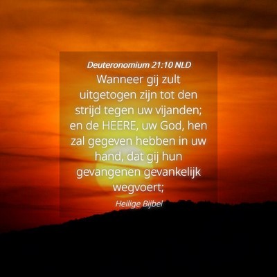 Picture 04 - Deuteronomium 21:10 NLD - Wanneer gij zult uitgetogen zijn tot den strijd - Bible Verse Picture