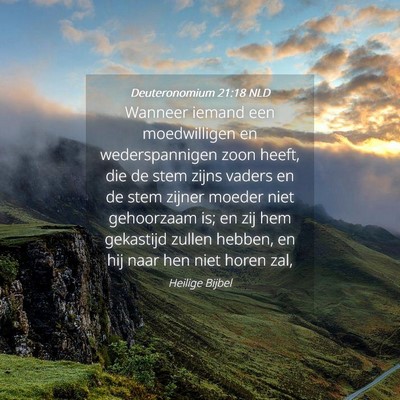 Picture 04 - Deuteronomium 21:18 NLD - Wanneer iemand een moedwilligen en wederspannigen - Bible Verse Picture