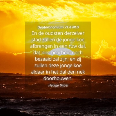 Picture 04 - Deuteronomium 21:4 NLD - En de oudsten derzelver stad zullen de jonge koe - Bible Verse Picture