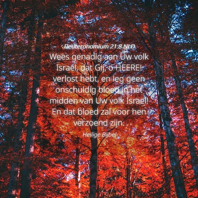 Picture 04 - Deuteronomium 21:8 NLD - Wees genadig aan Uw volk Israel, dat Gij, o - Bible Verse Picture