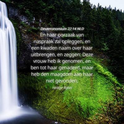 Picture 04 - Deuteronomium 22:14 NLD - En haar oorzaak van naspraak zal opleggen, en een - Bible Verse Picture