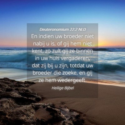 Picture 04 - Deuteronomium 22:2 NLD - En indien uw broeder niet nabij u is, of gij hem - Bible Verse Picture