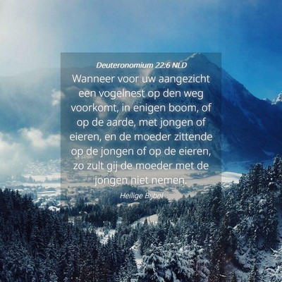 Picture 04 - Deuteronomium 22:6 NLD - Wanneer voor uw aangezicht een vogelnest op den - Bible Verse Picture