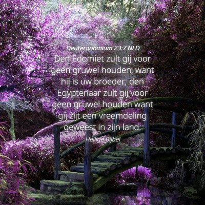 Picture 04 - Deuteronomium 23:7 NLD - Den Edomiet zult gij voor geen gruwel houden, - Bible Verse Picture
