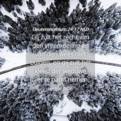 Picture 04 - Deuteronomium 24:17 NLD - Gij zult het recht van den vreemdeling en van den - Bible Verse Picture