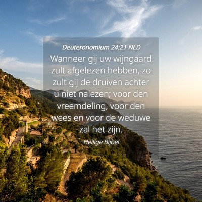 Picture 04 - Deuteronomium 24:21 NLD - Wanneer gij uw wijngaard zult afgelezen hebben, - Bible Verse Picture
