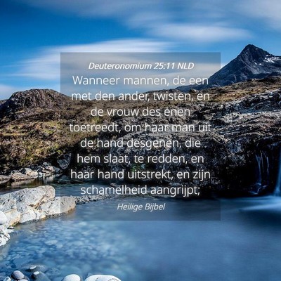 Picture 04 - Deuteronomium 25:11 NLD - Wanneer mannen, de een met den ander, twisten, en - Bible Verse Picture