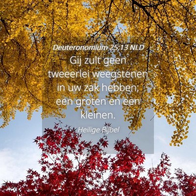 Picture 04 - Deuteronomium 25:13 NLD - Gij zult geen tweeerlei weegstenen in uw zak - Bible Verse Picture