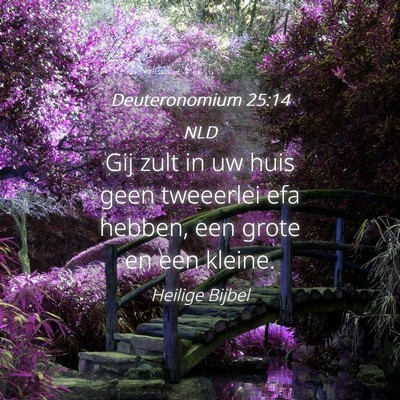 Picture 04 - Deuteronomium 25:14 NLD - Gij zult in uw huis geen tweeerlei efa hebben, - Bible Verse Picture