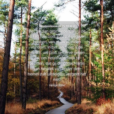 Picture 04 - Deuteronomium 25:19 NLD - Het zal dan geschieden, als u de HEERE, uw God, - Bible Verse Picture