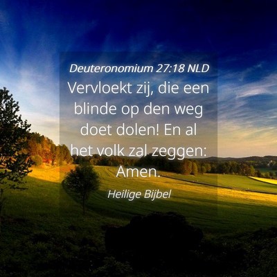 Picture 04 - Deuteronomium 27:18 NLD - Vervloekt zij, die een blinde op den weg doet - Bible Verse Picture