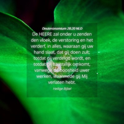 Picture 04 - Deuteronomium 28:20 NLD - De HEERE zal onder u zenden den vloek, de - Bible Verse Picture