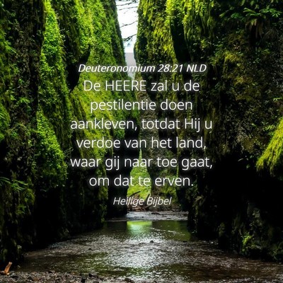 Picture 04 - Deuteronomium 28:21 NLD - De HEERE zal u de pestilentie doen aankleven, - Bible Verse Picture